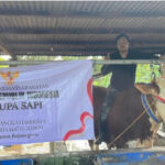 Sapi Kurban Seberat 1.040 Kg Dari Presiden RI Prabowo Diserahkan ke Masjid Baabus Shofa Bojonegoro
