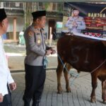 Hewan Kurban Sapi dari Kapolda Jatim Diserahkan Kapolres Jombang ke Dua Ponpes di Jombang